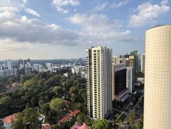 The Scotts Tower (D9), Condominium #538507471